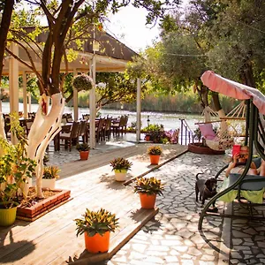 book here