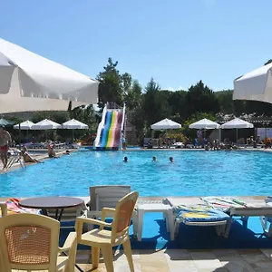 book here